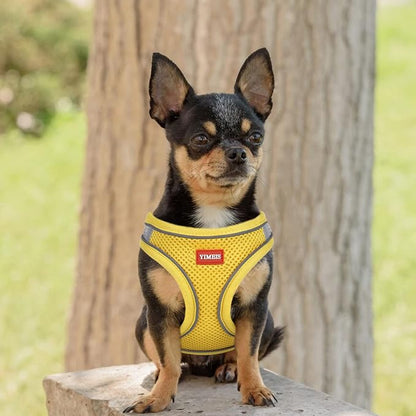 YIMEIS Dog Harness and Leash Set, No Pull Soft Mesh Pet Harness, Reflective - Image 2