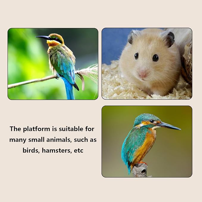 2Pcs Solid Wood Parrot Stand and Small Animal Climbing Platform - Image 6