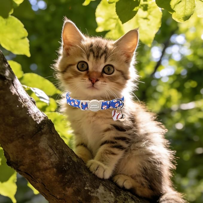 Unique Style Paws Baseball Kitten Collars, Cute Blue Cats Collar - Image 6