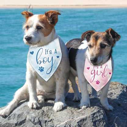 2 Packs It's a Boy and It's a Girl Gender Reveal Dog Bandana Baby Announcement - Image 4