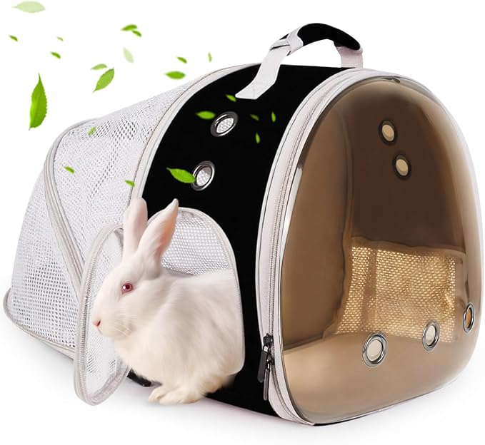 Back Expandable Backpack for Small Animals, Portable Travel Bag Breathable Pet by LightUpYourPetsLife