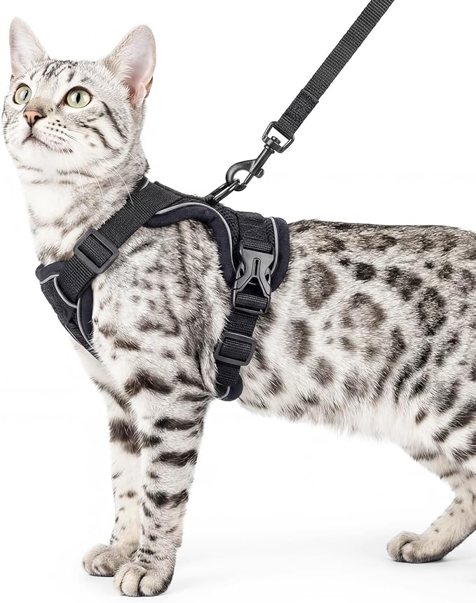 Cat Harness and Leash Set Escape Proof Tactical Large Kitten Harness Emotional by pangdi
