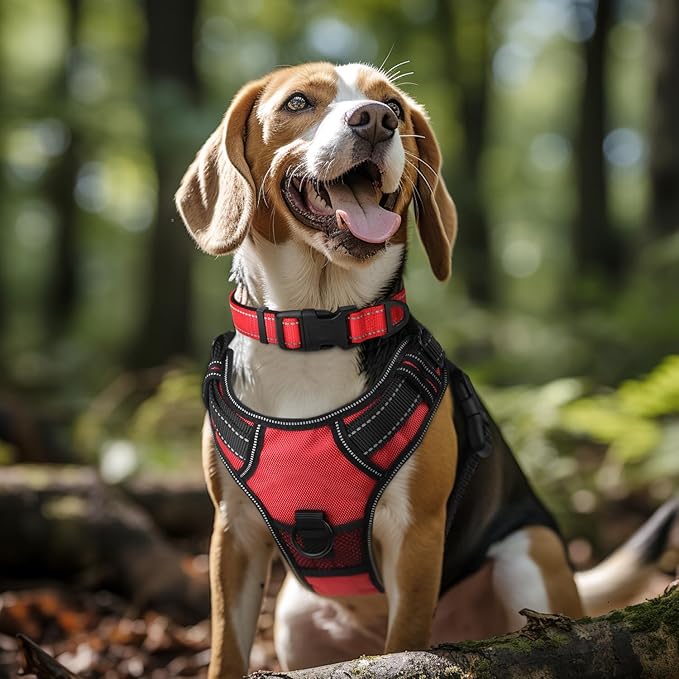 Joytale Reflective Dog Collar, Soft Neoprene Padded Breathable Nylon Pet Collar - Image 2