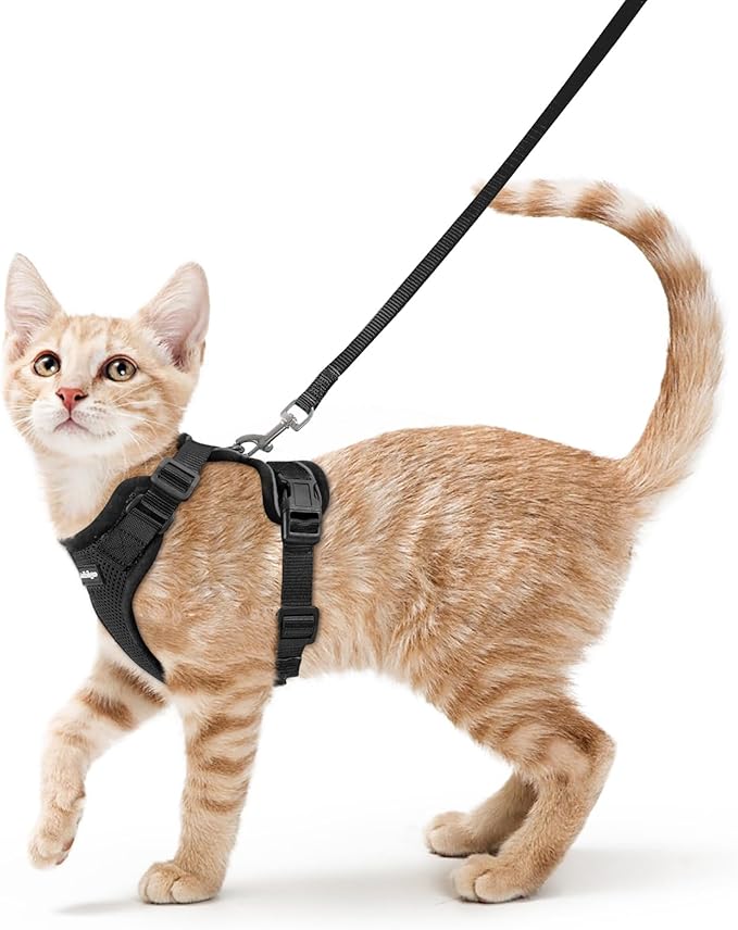 rabbitgoo Cat Harness and Leash by rabbitgoo