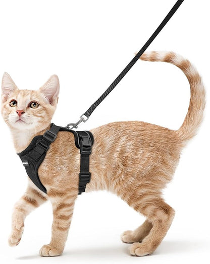 rabbitgoo Cat Harness and Leash by rabbitgoo