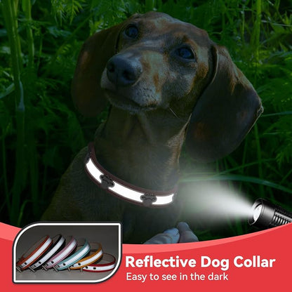 PETCARE Reflective Dog Collar - Image 5