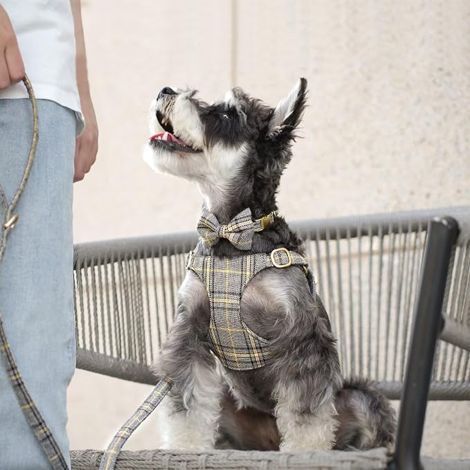 Beirui Cute Small Dog Harness Collar and Leash Set - Image 4