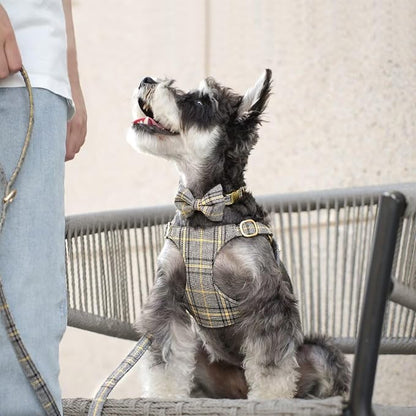Beirui Cute Extra Small Dog Harness Collar and Leash Set - Image 4