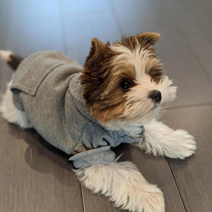 Jecikelon Winter Dog Hoodie Sweatshirts - Image 2