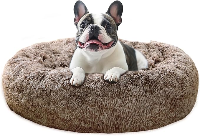 JOLLYVOGUE Calming Dog Bed Medium Size Dog, Anti-Anxiety Donut Medium Pet Bed by JOLLYVOGUE