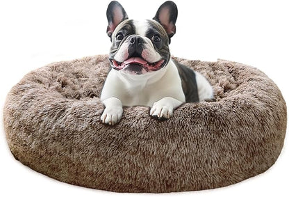 JOLLYVOGUE Calming Dog Bed Medium Size Dog, Anti-Anxiety Donut Medium Pet Bed by JOLLYVOGUE
