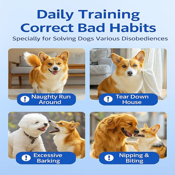 Dog Training Stick for Puppies and Dogs, Flexible Exercise Stick, Obedience - Image 7