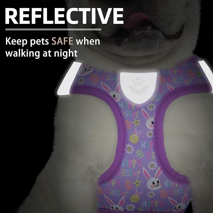 PUPTECK Adjustable Dog Harness Collar and Leash Set Step in No Pull Pet Harness - Image 5