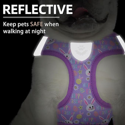 PUPTECK Adjustable Dog Harness Collar and Leash Set Step in No Pull Pet Harness - Image 5