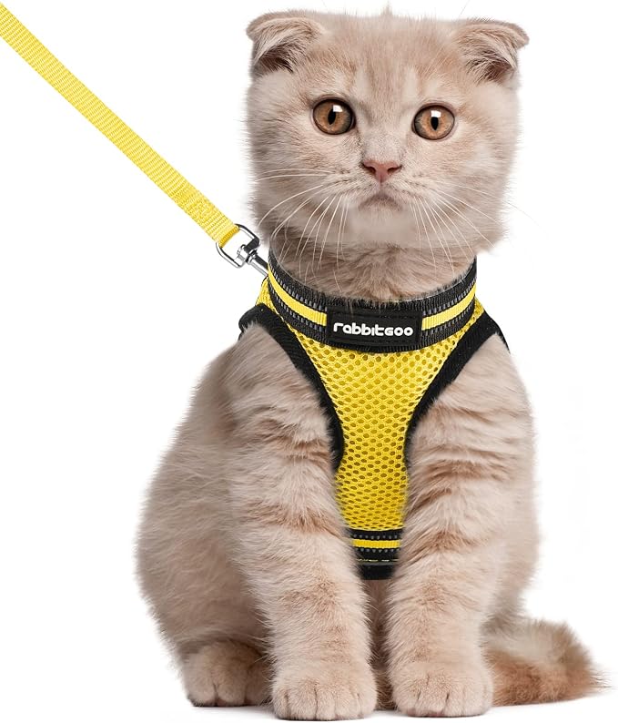 rabbitgoo Cat Harness and Leash Set by rabbitgoo