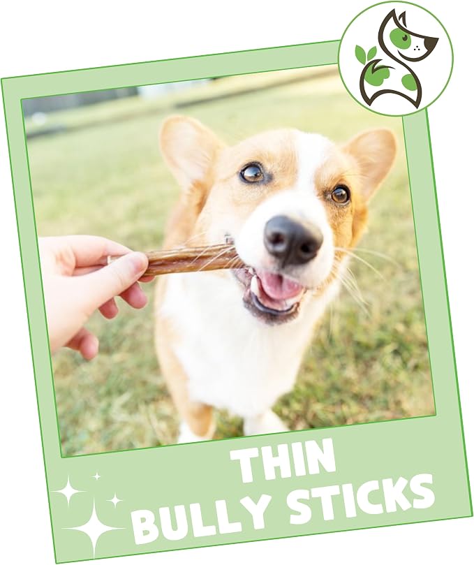Nature Gnaws Thin Bully Sticks for Dogs 5-6" - Image 7