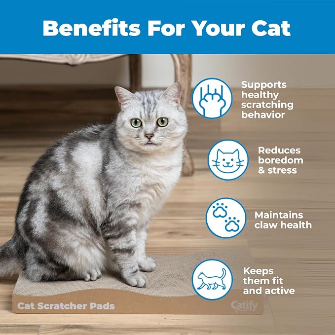 Best Pet Supplies Catify Cat Scratcher, Fun Interactive Scratchers, Claw Safe - Image 5