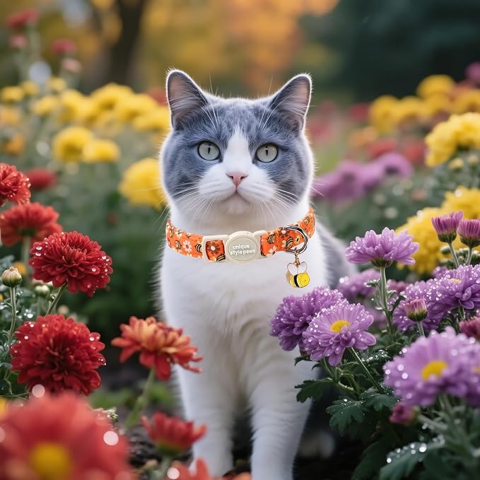 Unique style paws 2 Pack Autumn Halloween Kitten Collar Breakaway - Image 6
