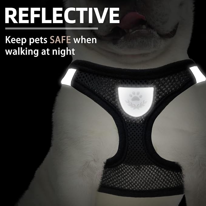 PUPTECK Adjustable Dog Harness Collar and Leash Set Step in No Pull Pet Harness - Image 5