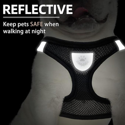 PUPTECK Adjustable Dog Harness Collar and Leash Set Step in No Pull Pet Harness - Image 5