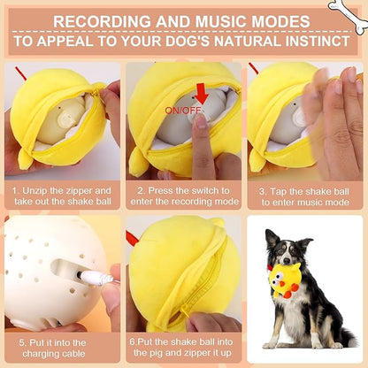 BABORUI Interactive Dog Toys, Crazy Jumping Chicken Dog Toy - Image 6