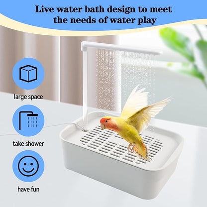 Automatic Bird Shower with Pump, Electric Bird Bath - Image 4