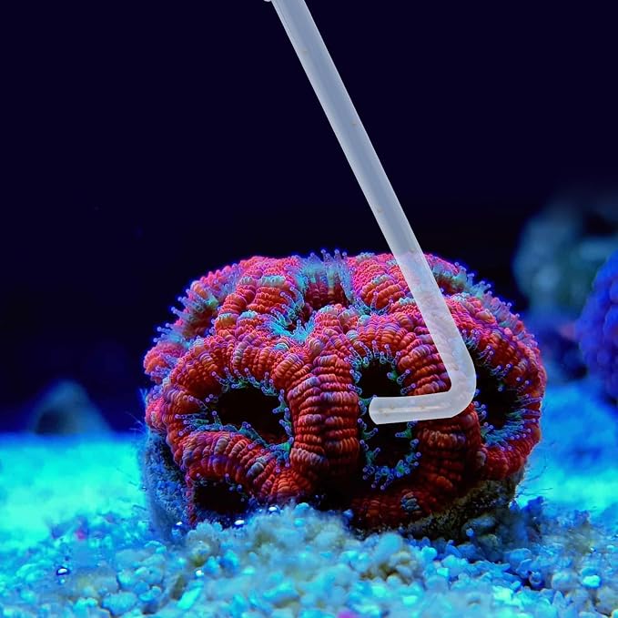 SLSON Aquarium Coral Feeder Waste Cleaner - Image 7