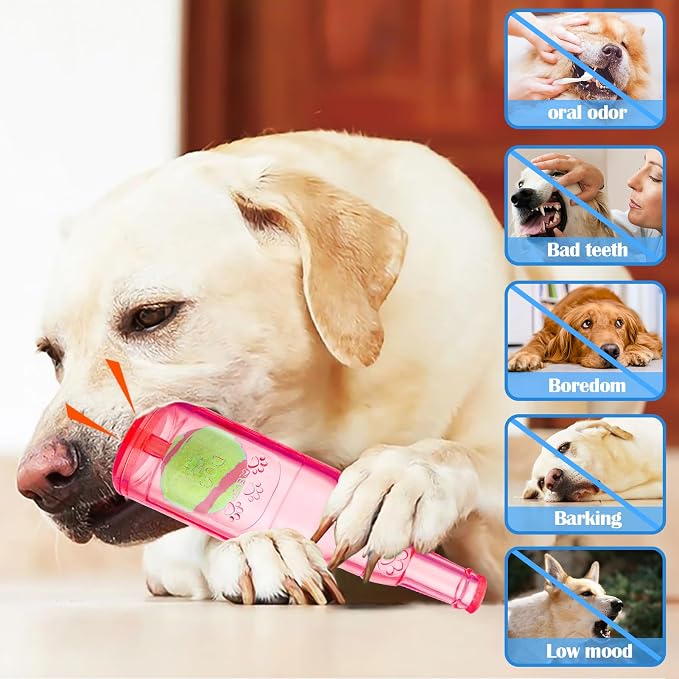 Mity rain Water Bottle Dog Toy - Image 5