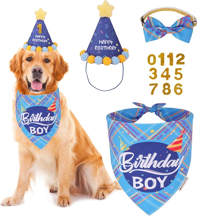 ADOGGYGO Dog Birthday Party Supplies, Party Hat by ADOGGYGO