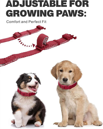 Dynmeow Soft and Breathable Cotton Dog Collar, Durable Adjustable Heavy-Duty - Image 3
