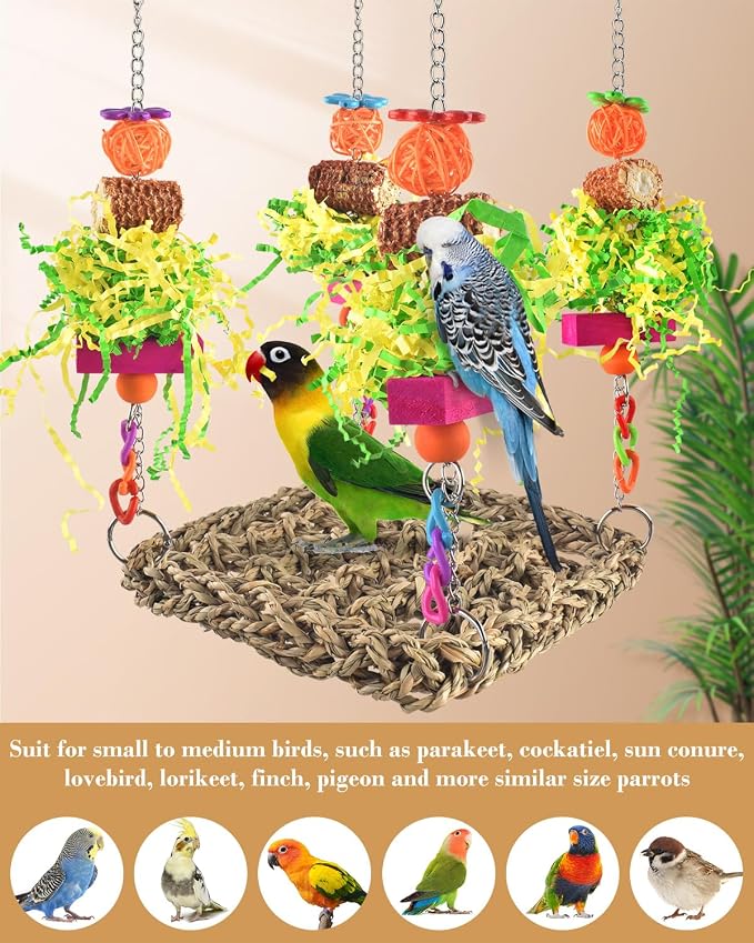 ERKOON Conure Toys, Bird Cockatiel Toys Foraging Swing Mat Parrot Climbing - Image 4