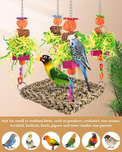 ERKOON Conure Toys, Bird Cockatiel Toys Foraging Swing Mat Parrot Climbing - Image 4