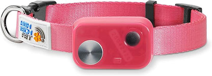 MS-5 Econ Series Automatic Pet Door Collar by High Tech Pet Brand by HighTechPet