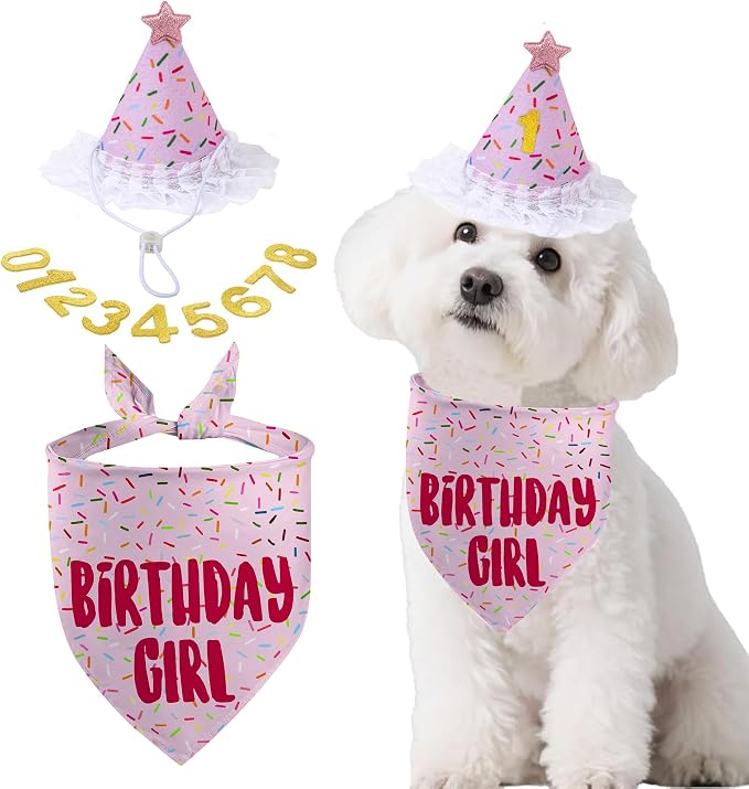 Dog Birthday Bandana Set, Light Pink Birthday Girl Decorations, HBD Party by GHSJYOHomeDecoration