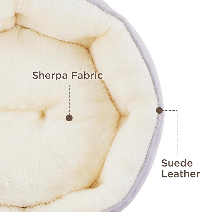 Bedsure Dog Beds for Small Dogs - Image 3