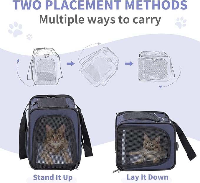 ‌Petsfit Airline Approved Pet Carrier - Image 4