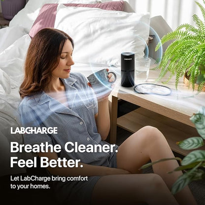 LabCharge Small Ionic Air Purifier - Image 4