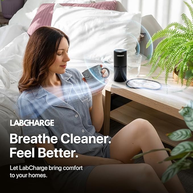 Lab Charge Small Ionic Air Purifier - Image 4