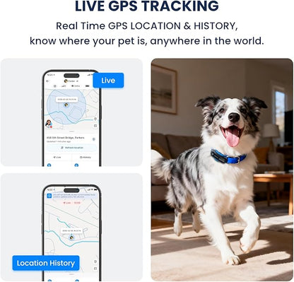 AI GPS Tracker for Dogs, Real Time Location and AI Vet Health Management - Image 2
