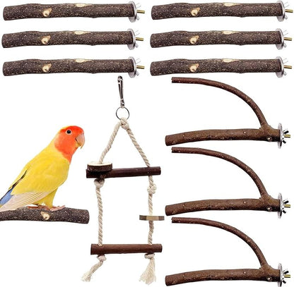 EBaokuup Bird Parrot Perch Set by EBaokuup