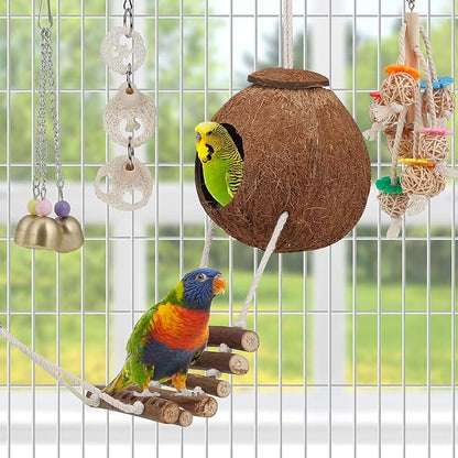 For Parakeet, Love Birds, Parrots - Image 2