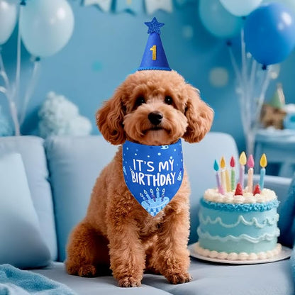 Dog Birthday Party Supplies - Image 6