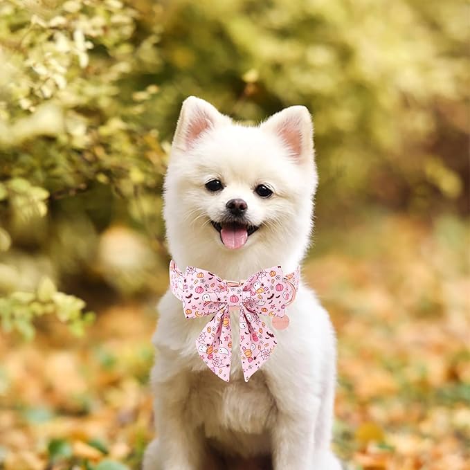 Halloween Dog Collar with Flower - Image 4