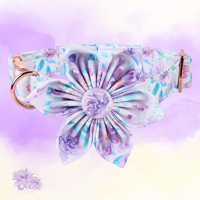 Lionheart Glory Purple Dog Collar - Image 2