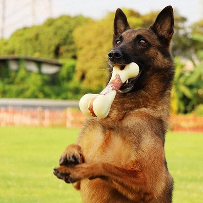 Tikaton Dog Chew Toys for Aggressive Chewers, Peanut Butter Flavor Durable Dog - Image 2
