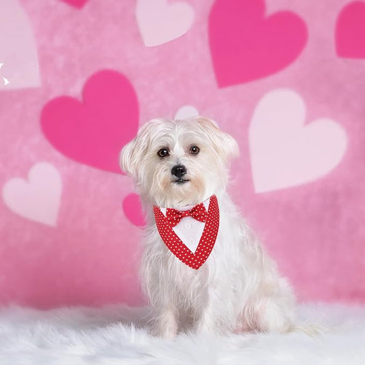 ADOGGYGO Valentine Dog Tuxedo Bandana - Image 2