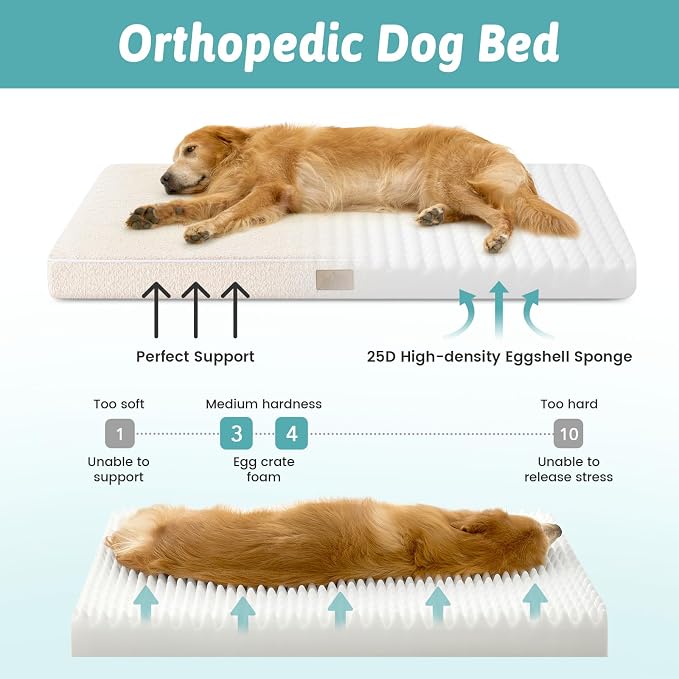 Dog Crate Bed for Small Size Dogs, Rectangular Orthopedic Cat Beds, Foam - Image 2