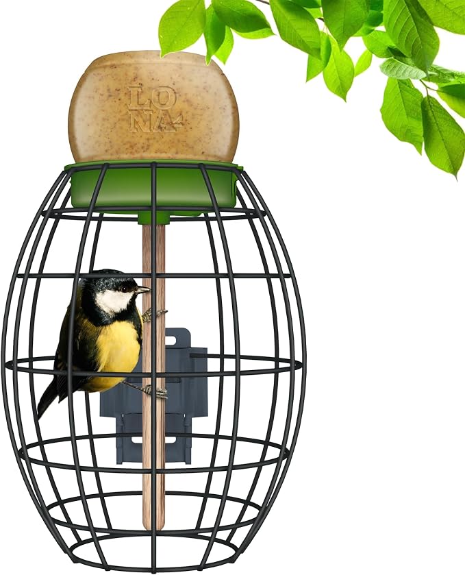 LONA Squirrel Proof Bird Feeding Cage by LONALOVENATURE