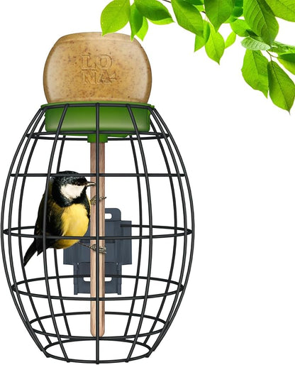LONA Squirrel Proof Bird Feeding Cage by LONALOVENATURE