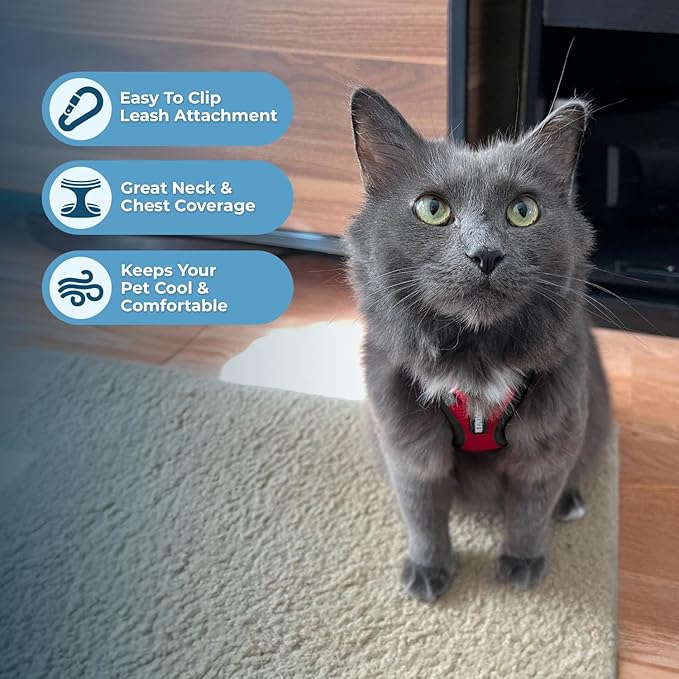 Voyager Escape-Proof Step-in Lock Cat Harness & 5ft Neoprene-Handle Leash Set - Image 5